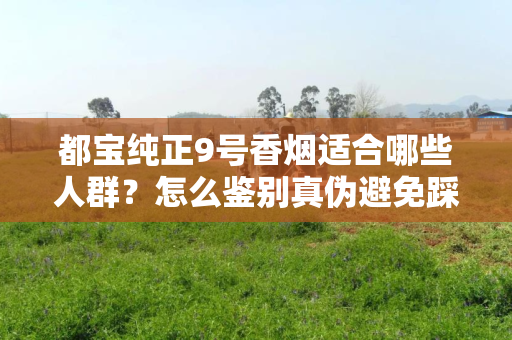 都宝纯正9号香烟适合哪些人群？怎么鉴别真伪避免踩坑？